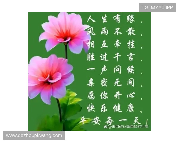用快乐点亮每一天，天天欢乐陪伴你走过人生的每一个精彩瞬间